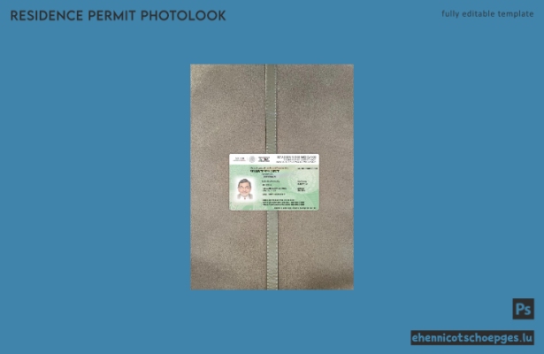 Beispielansicht der mexikanischen Green Card-Aufenthaltserlaubnis (Fotoansicht)